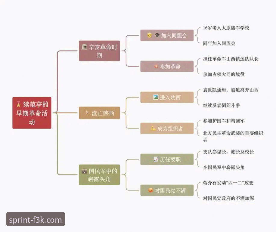 民主刚果52年圆梦之路：一场绝杀背后的战术与意志深度解析